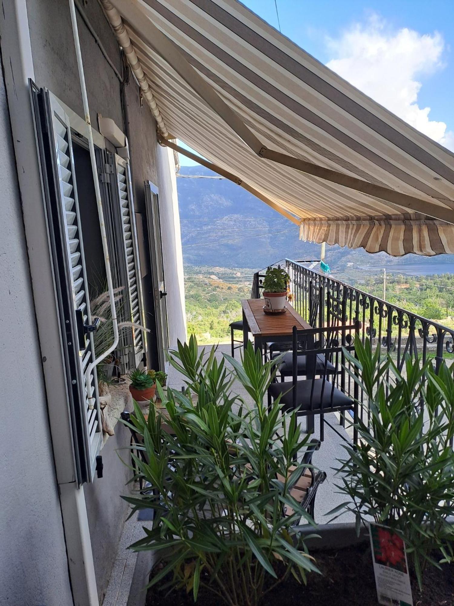 Location En Corse Au Pied Du Monte Cintu Apartment Lozzi Exterior photo